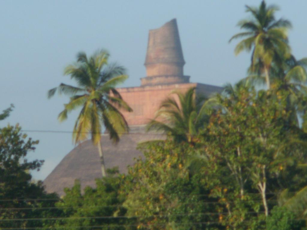 Nilketha Villa Eco Hotel Anuradhapura Exterior foto