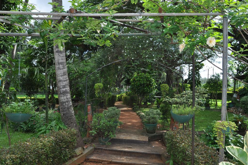 Nilketha Villa Eco Hotel Anuradhapura Exterior foto
