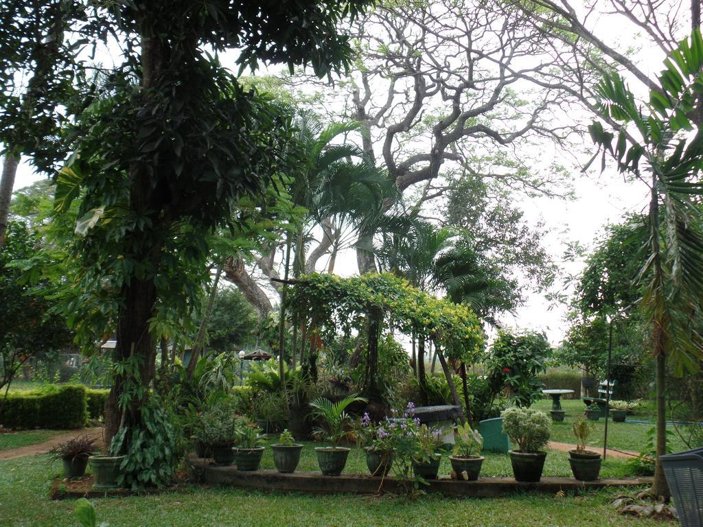 Nilketha Villa Eco Hotel Anuradhapura Exterior foto