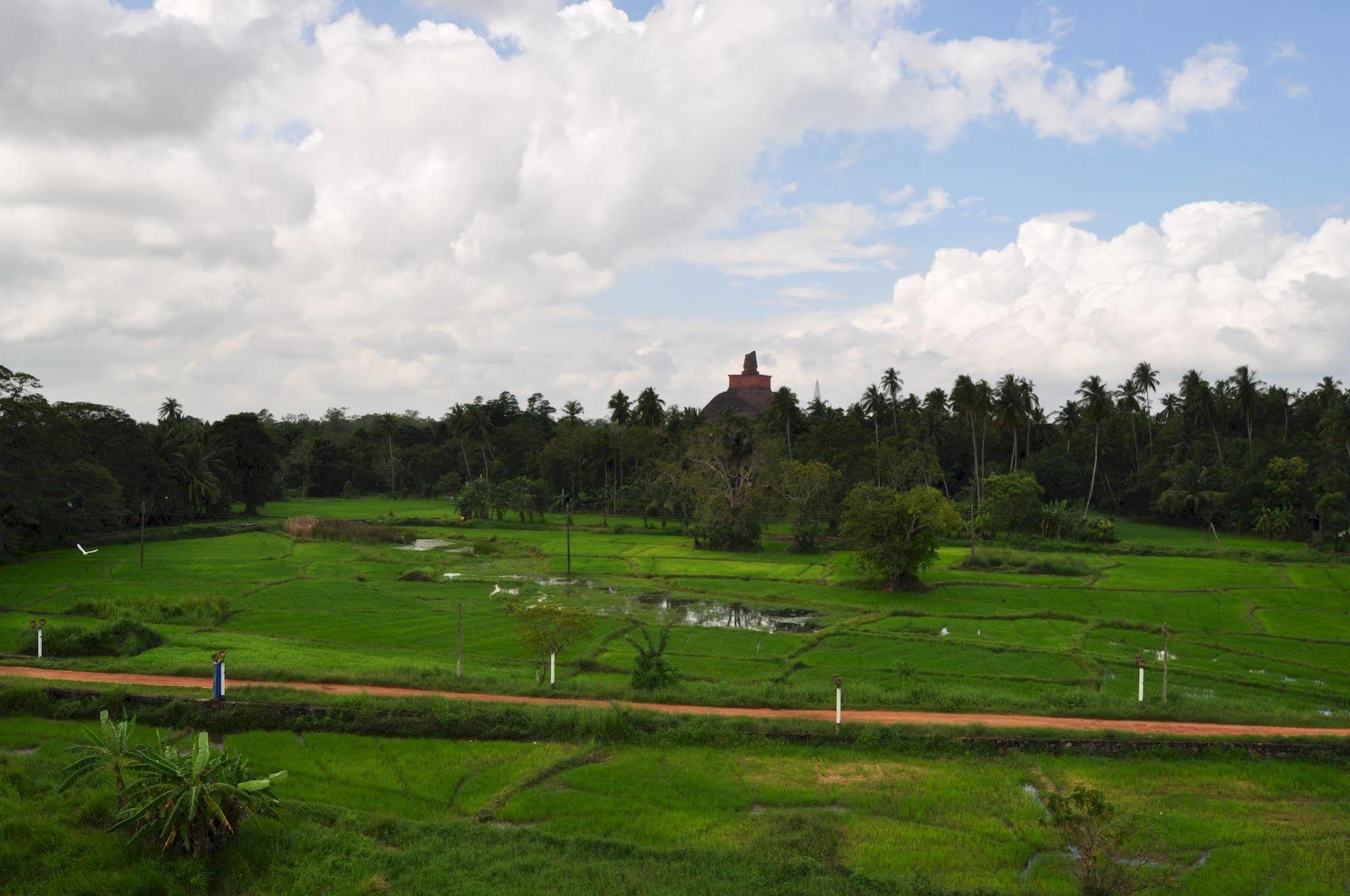 Nilketha Villa Eco Hotel Anuradhapura Exterior foto