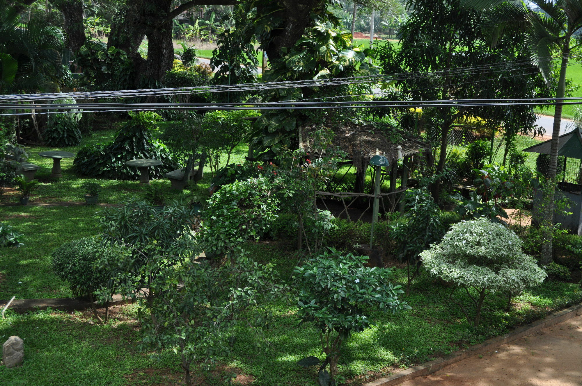 Nilketha Villa Eco Hotel Anuradhapura Exterior foto